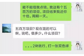 太康企业清欠服务